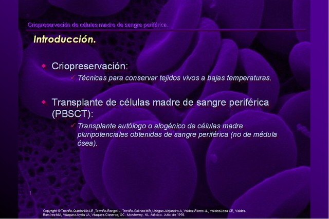 Diapositiva/Slide: 1/42