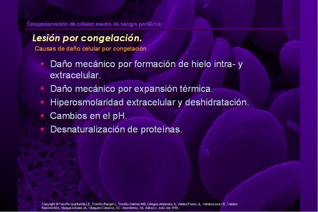 Diapositiva/Slide: 11/42