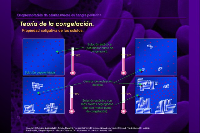 Diapositiva/Slide: 12/42