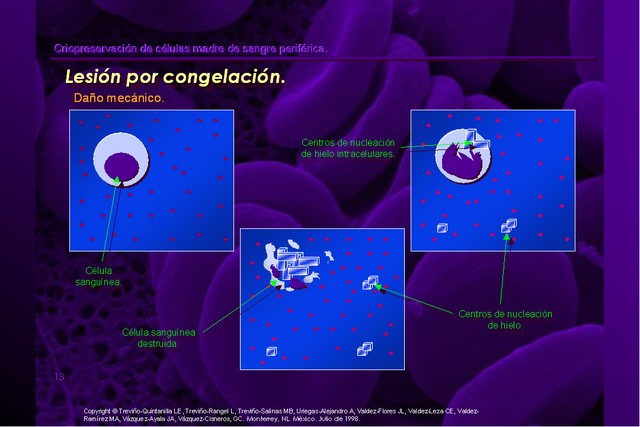 Diapositiva/Slide: 13/42