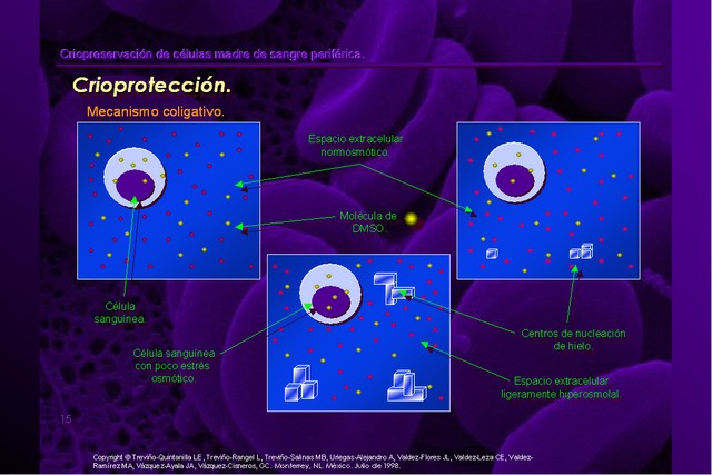 Diapositiva/Slide: 15/42