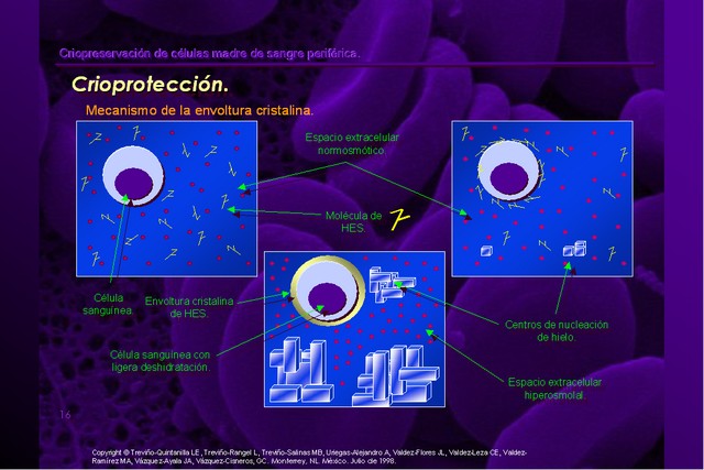 Diapositiva/Slide: 16/42