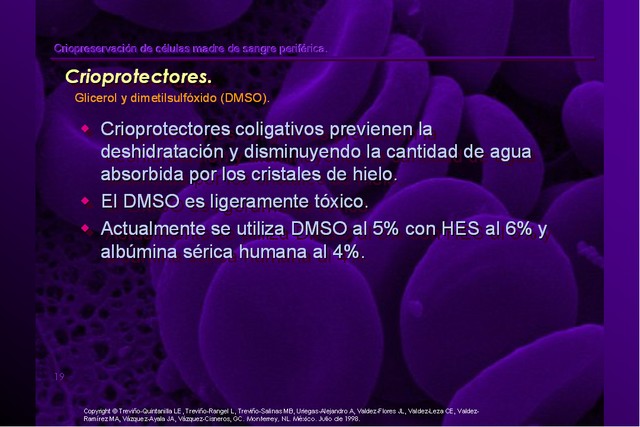 Diapositiva/Slide: 19/42