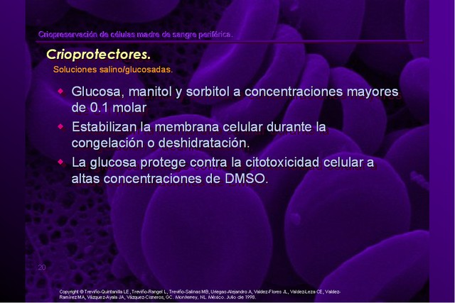 Diapositiva/Slide: 20/42