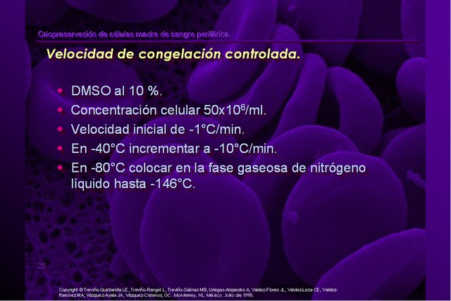 Diapositiva/Slide: 25/42