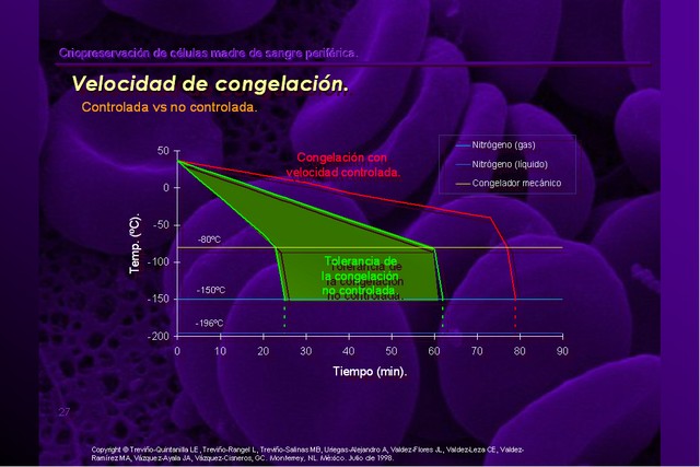 Diapositiva/Slide: 27/42