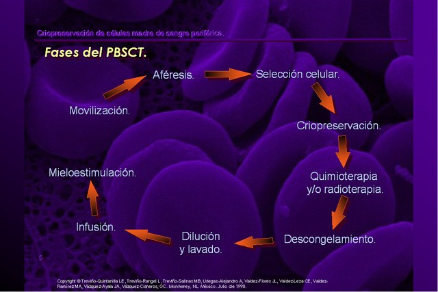 Diapositiva/Slide: 5/42