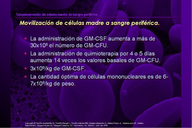 Diapositiva/Slide: 6/42