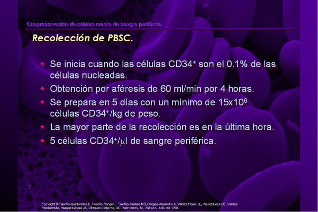 Diapositiva/Slide: 7/42