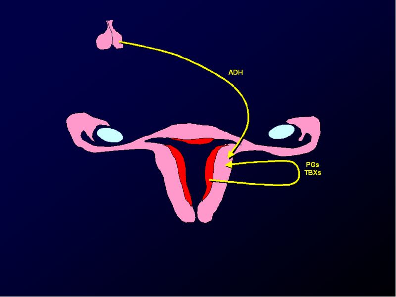 Diapositiva/Slide: 26/88