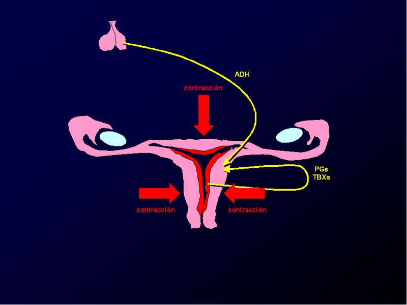 Diapositiva/Slide: 27/88