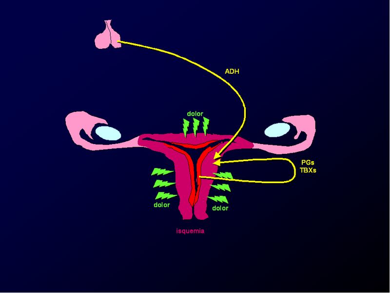 Diapositiva/Slide: 29/88