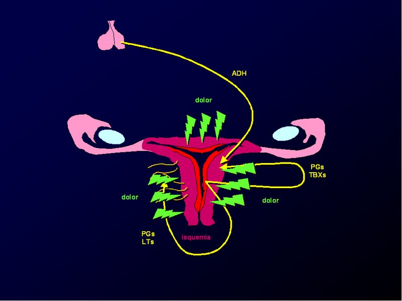 Diapositiva/Slide: 31/88