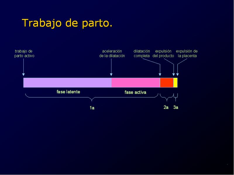 Diapositiva/Slide: 8/94