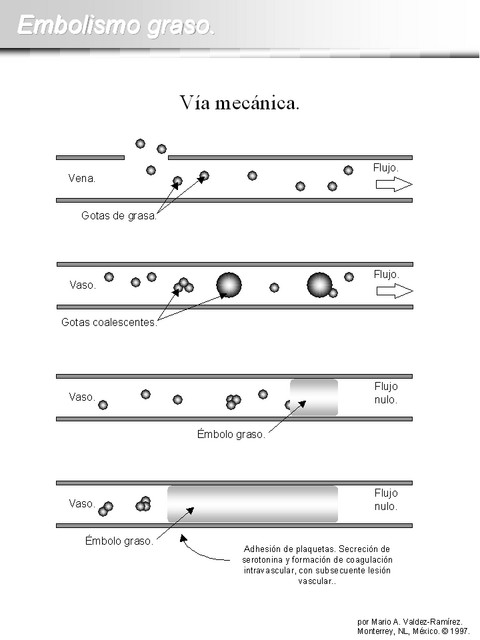 Diapositiva/Slide: 2/15