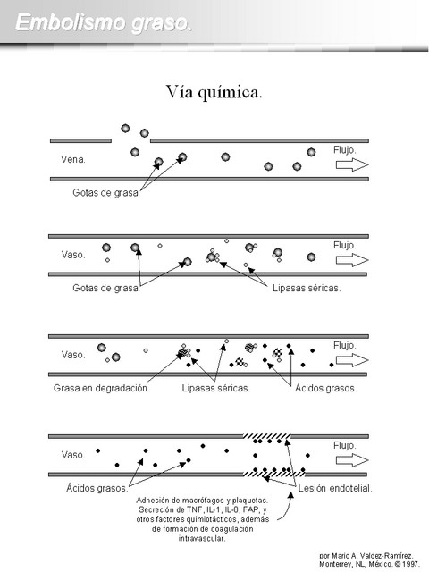 Diapositiva/Slide: 3/15