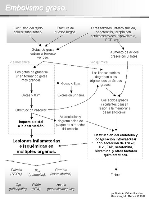 Diapositiva/Slide: 4/15