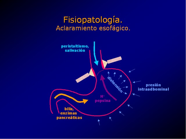 Diapositiva/Slide: 10/100