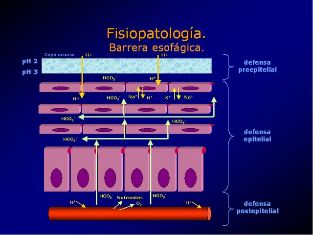 Diapositiva/Slide: 12/100