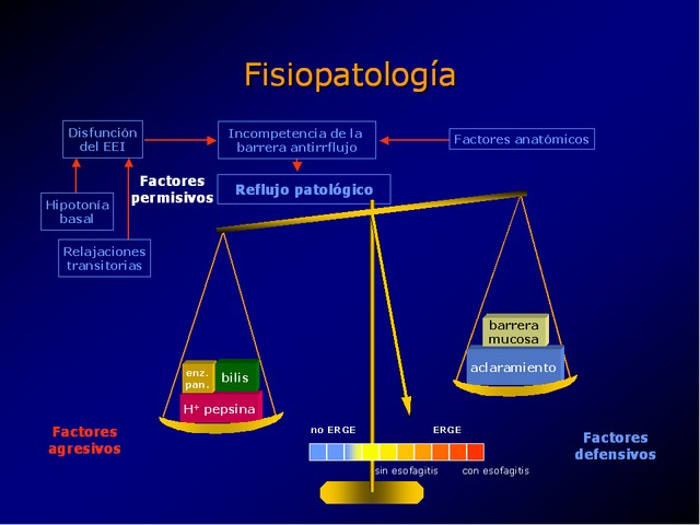 Diapositiva/Slide: 13/100