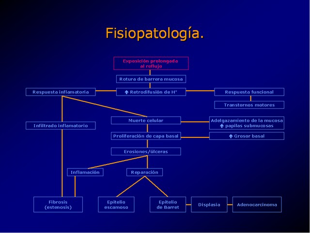 Diapositiva/Slide: 19/100