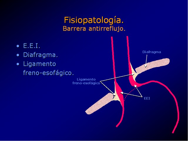 Diapositiva/Slide: 6/100