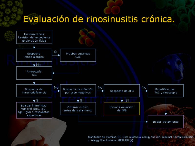 Diapositiva/Slide: 58/67