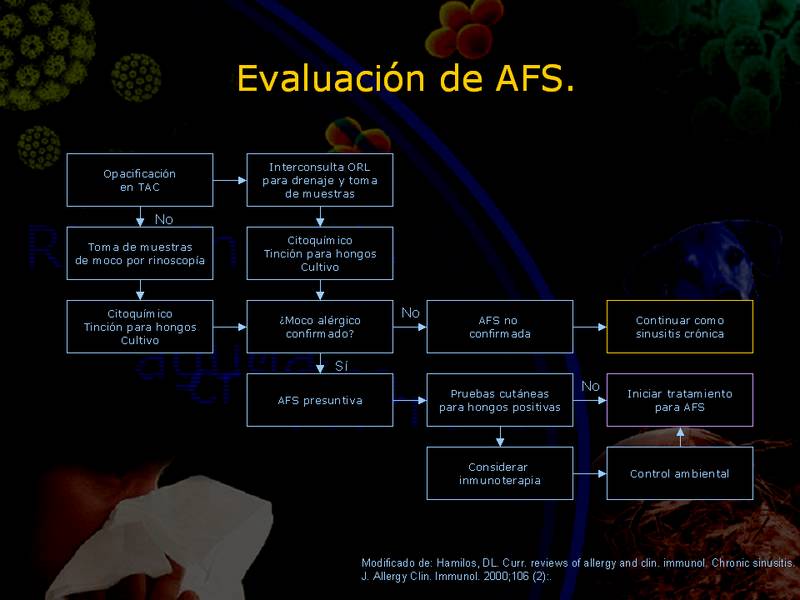 Diapositiva/Slide: 61/67