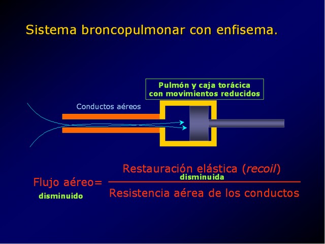 Diapositiva/Slide: 24/49